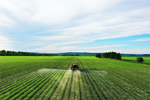 旋耕刀选择与应用指南：提高耕作效率的关键策略”