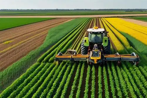 欧式旋耕机开垦刀和旋耕刀有什么区别”